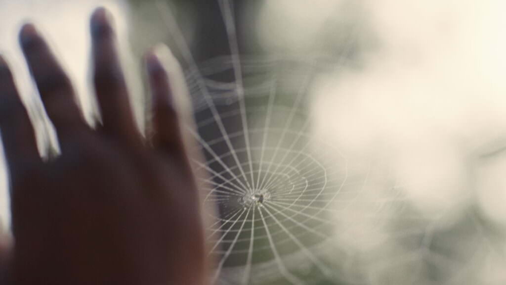 نقد فیلم Nickel Boys - عدالت برای سفید‌ها