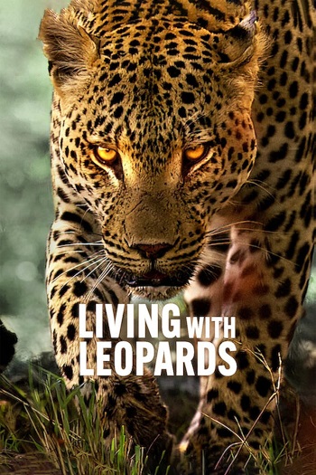 دانلود مستند Living with Leopards 2024  زندگی با پلنگها با دوبله فارسی