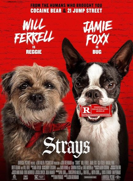 دانلود فیلم Strays 2023