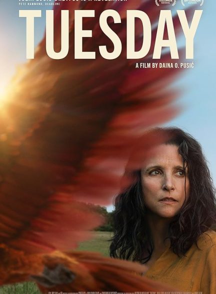 دانلود فیلم 2023 Tuesday