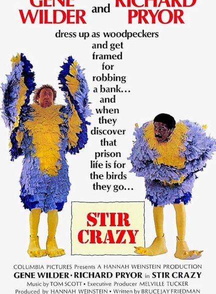 دانلود فیلم 1980 Stir Crazy