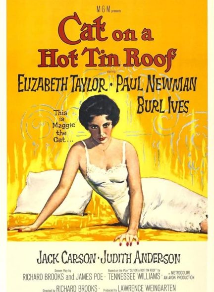 دانلود فیلم گربه روی شیروانی داغ 1958 Cat on a Hot Tin Roof