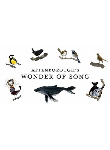 دانلود مستند شگفتی آواز اتنبرو 2022 Attenborough’s Wonder of Song