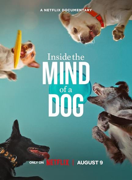 دانلود فیلم 2024 Inside the Mind of a Dog