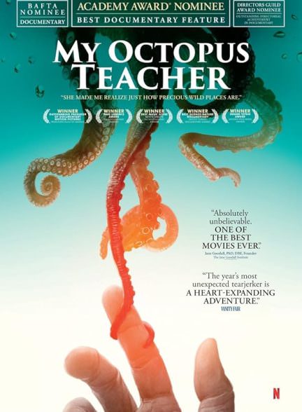دانلود مستند My Octopus Teacher 2020
