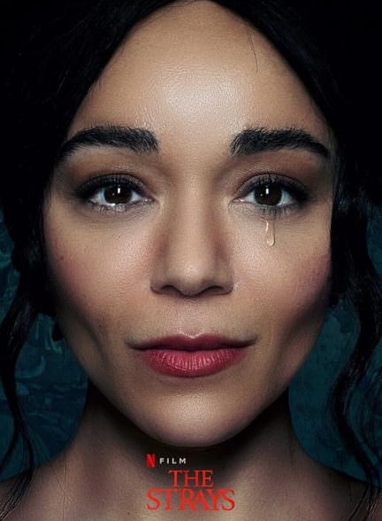 دانلود فیلم 2023 The Strays