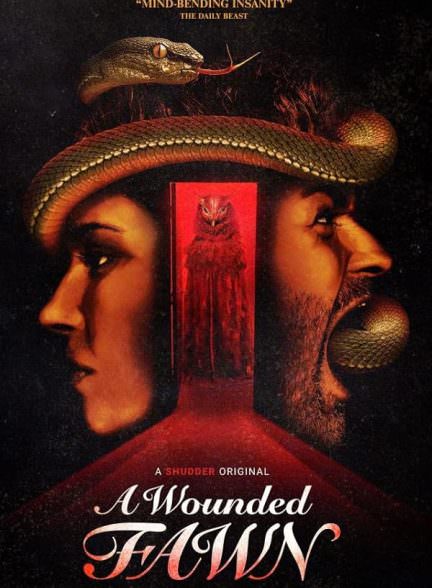 دانلود فیلم 2022 A Wounded Fawn