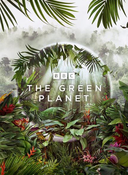دانلود سریال The Green Planet سیاره سبز