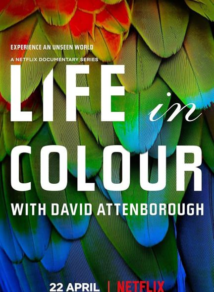 دانلود سریال Life in Colour زندگی در رنگ