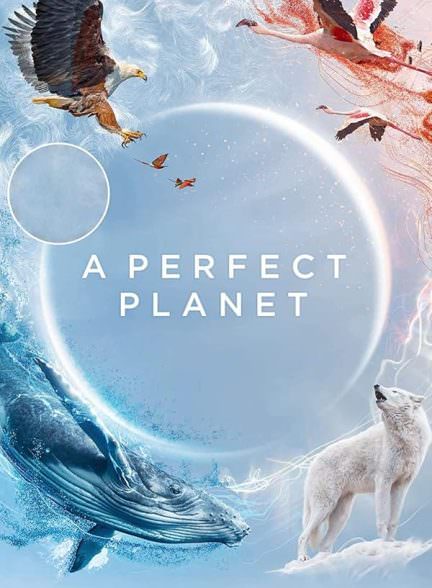 دانلود سریال A Perfect Planet یک سیاره کامل