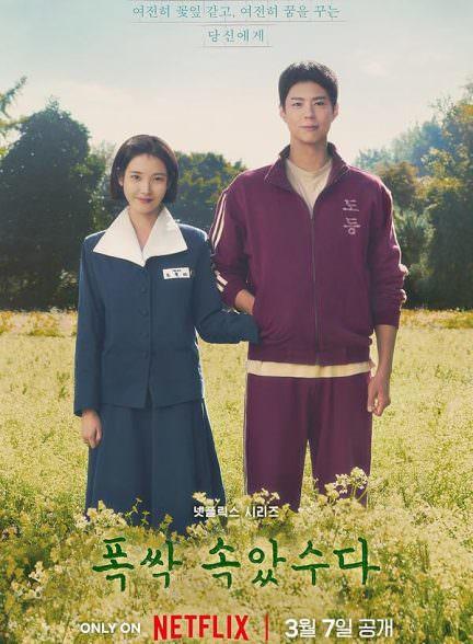 دانلود سریال When Life Gives You Tangerines وقتی زندگی بهت نارنگی میده