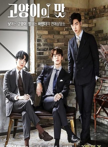 دانلود سریال ذائقه گربه Taste of Cat