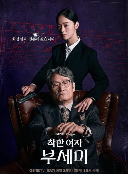 دانلود سریال بانوی ناشناس Ms. Incognito