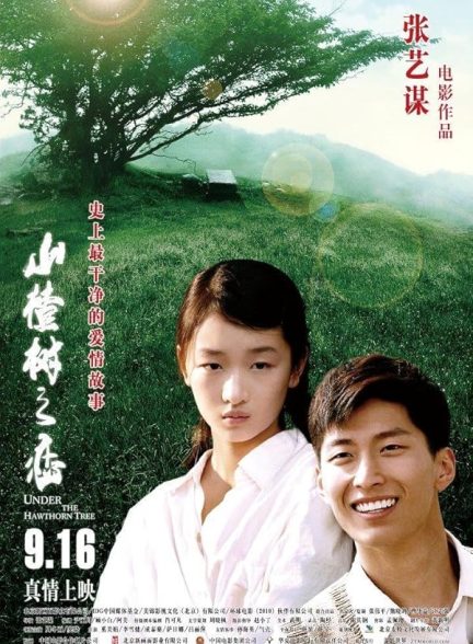 دانلود فیلم Under the Hawthorne Tree