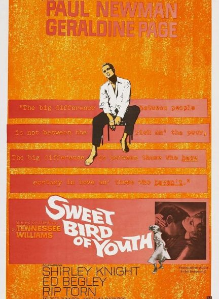 دانلود فیلم Sweet Bird of Youth