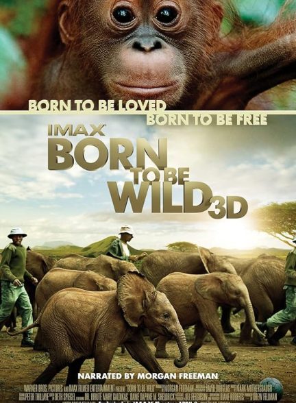 دانلود فیلم Born to Be Wild