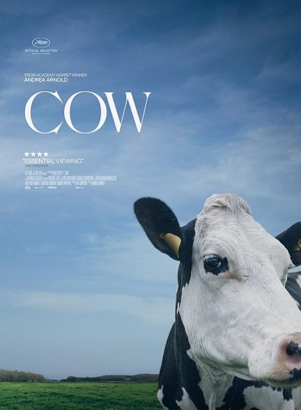 دانلود فیلم Cow