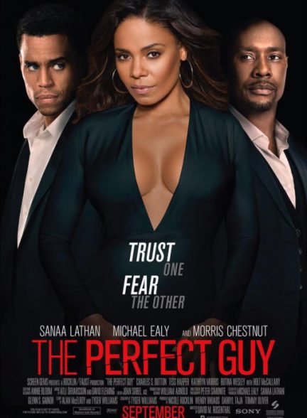 دانلود فیلم The Perfect Guy