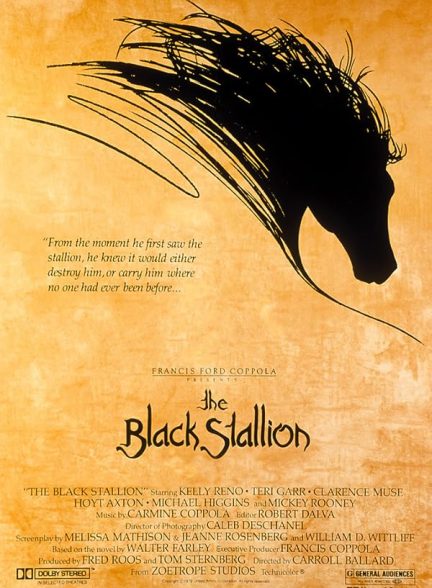 دانلود فیلم The Black Stallion