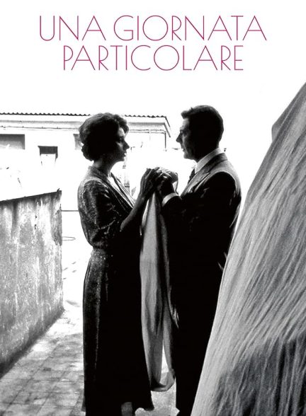 دانلود فیلم A Special Day