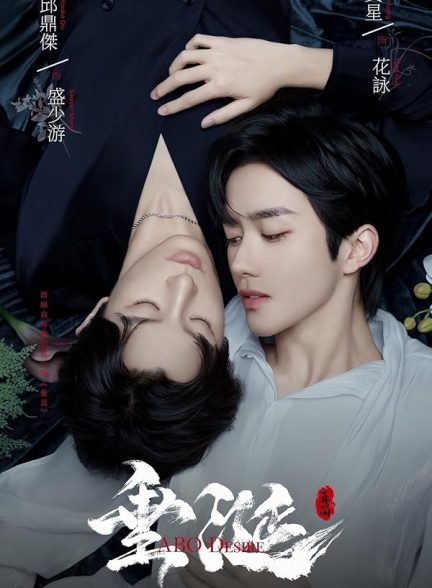 دانلود سریال  ABO Desire