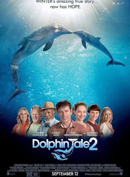 دانلود فیلم Dolphin Tale 2
