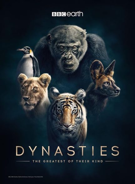 دانلود سریال  Dynasties