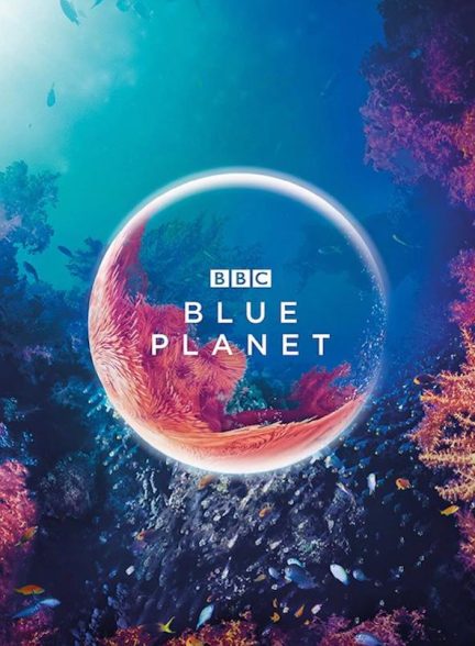 دانلود سریال  The Blue Planet