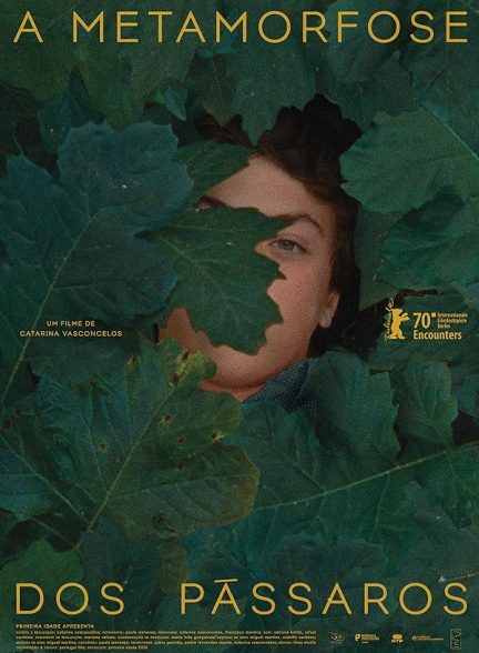 دانلود فیلم The Metamorphosis of Birds