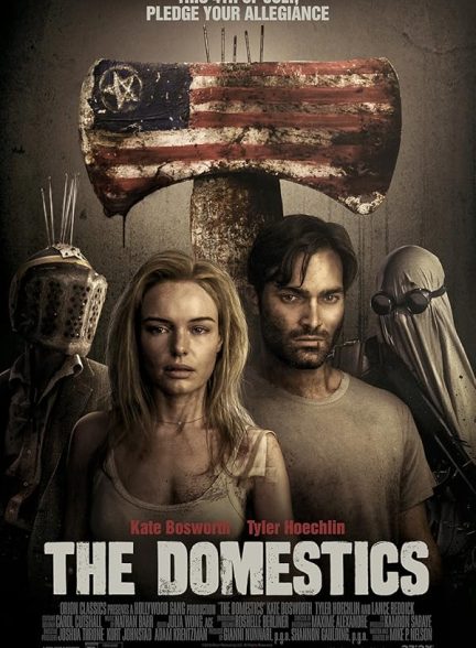 دانلود فیلم The Domestics