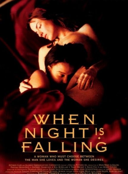 دانلود فیلم When Night Is Falling