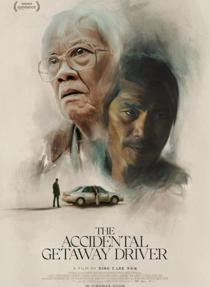 دانلود فیلم The Accidental Getaway Driver