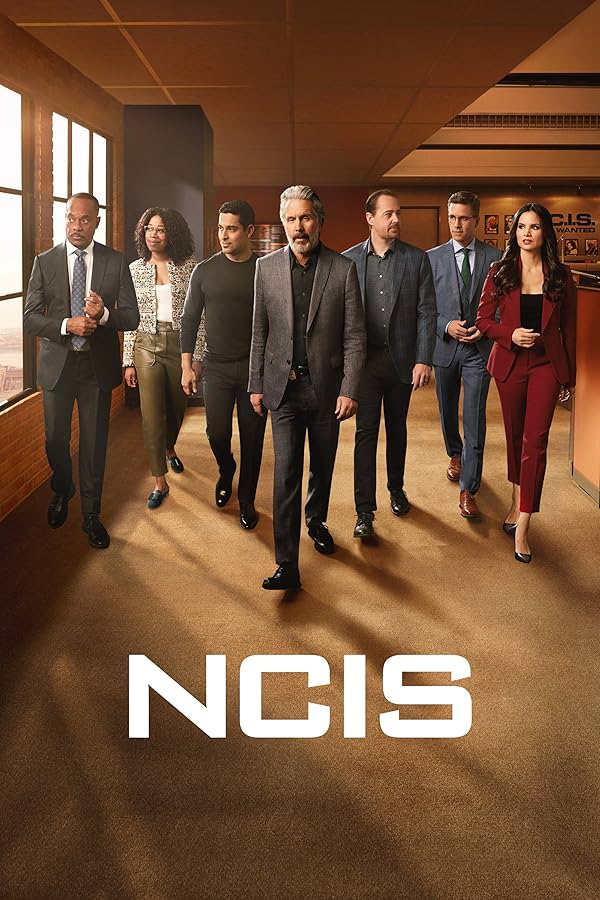 دانلود سریال NCIS با دوبله فارسی