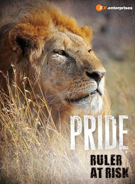 دانلود فیلم Pride: Ruler’s at Risk