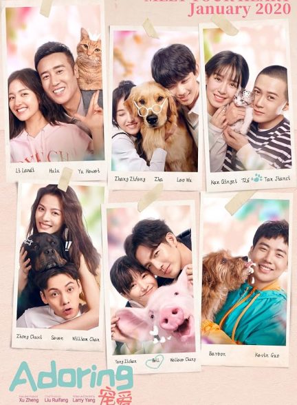 دانلود فیلم Adoring