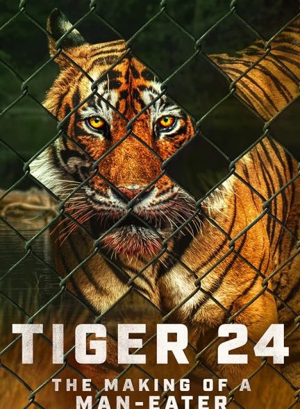 دانلود فیلم Tiger 24 2022