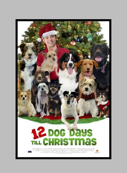 دانلود فیلم 12 Dog Days Till Christmas