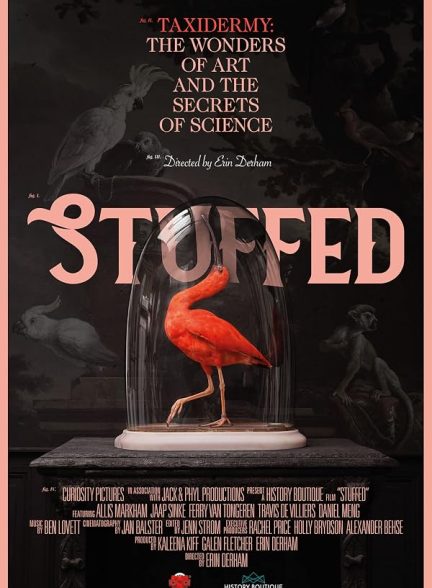 دانلود فیلم Stuffed