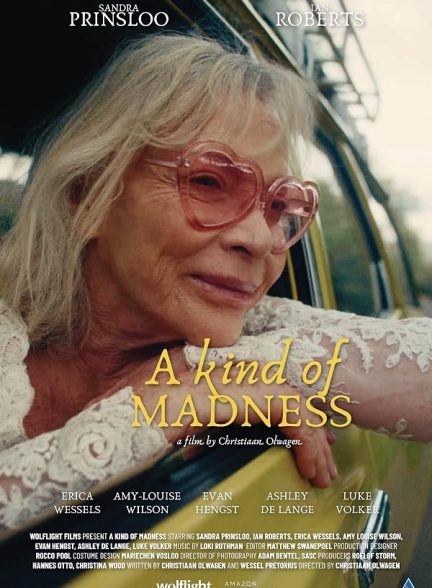 دانلود فیلم A Kind of Madness 2025
