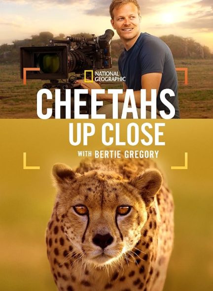 دانلود فیلم Cheetahs Up Close with Bertie Gregory 2026