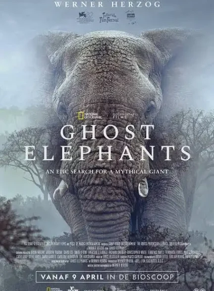 دانلود فیلم Ghost Elephants 2025