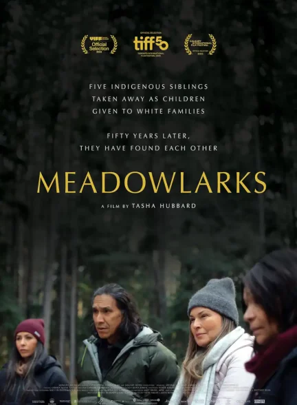 دانلود فیلم Meadowlarks